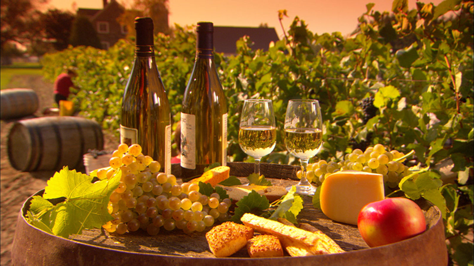 Terroir Montérégie